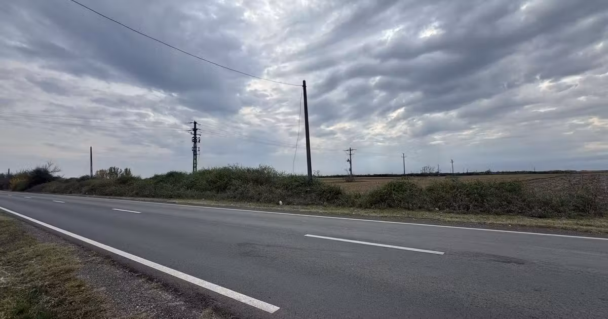 Teren agricol extravilan de vânzare de 25000 mp, în Biled