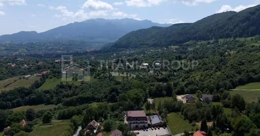 Teren Tohănița