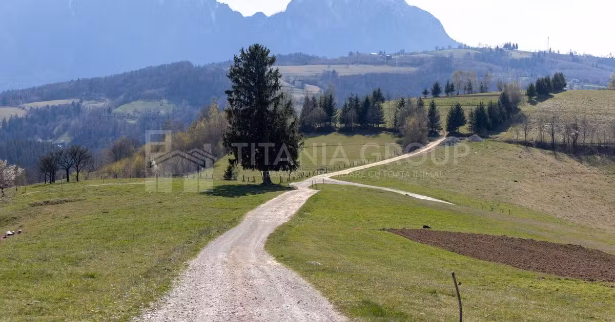 Teren Construcții intravilan de vânzare de 3791 mp, în Poiana Mărului