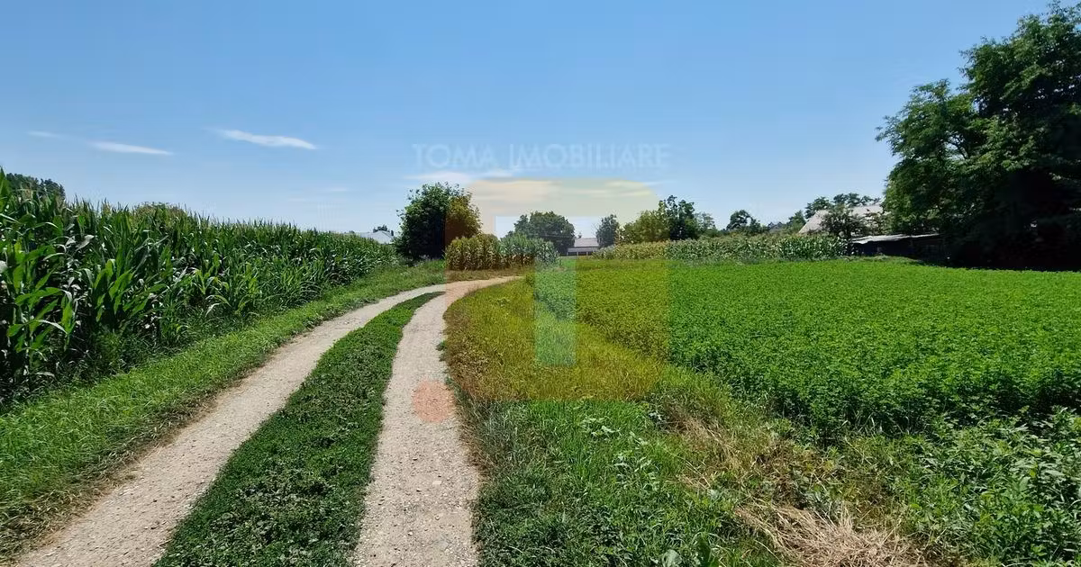 Teren Construcții intravilan de vânzare de 4133 mp, în Girov