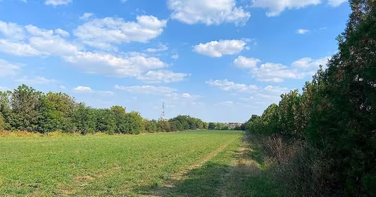 Teren Siliștea Snagovului