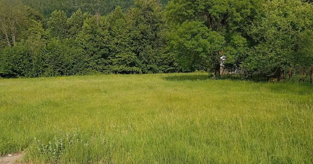Teren Construcții intravilan de vânzare de 700 mp, în Măneciu-Ungureni