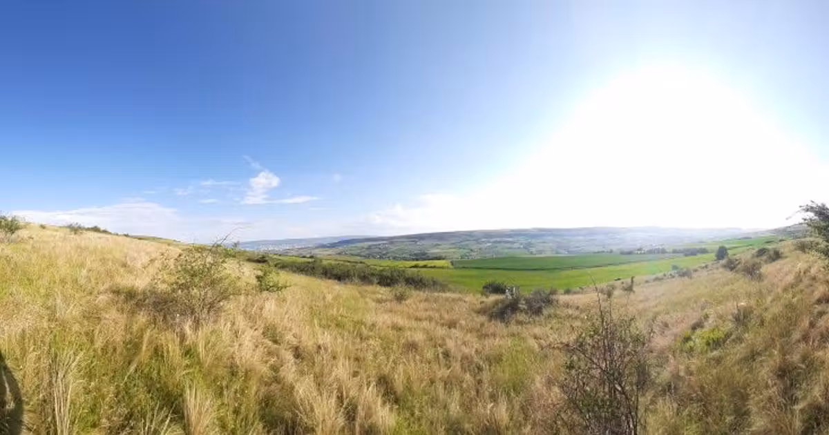 Teren agricol extravilan de vânzare de 16800 mp, în Chinteni