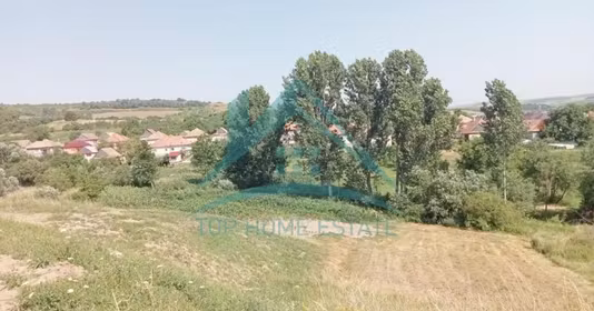 Teren Corușu