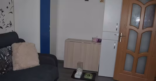Apartament Central