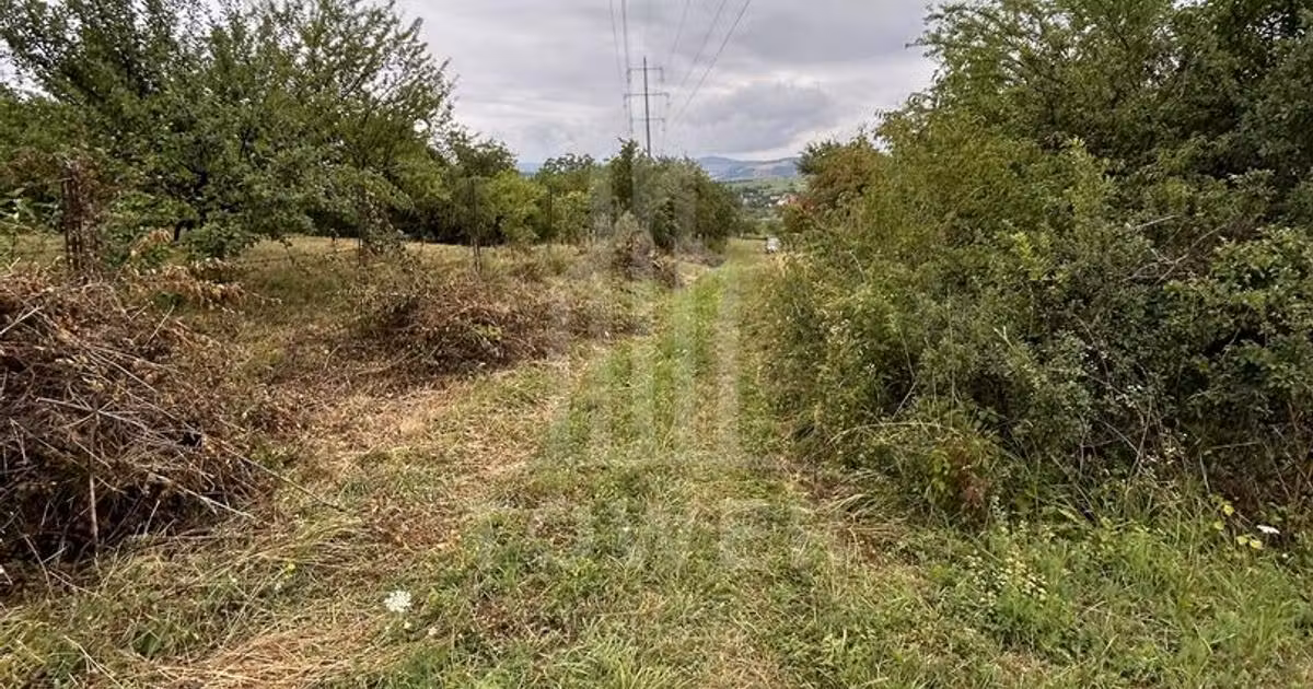 Teren Construcții intravilan de vânzare de 1000 mp, în Daia