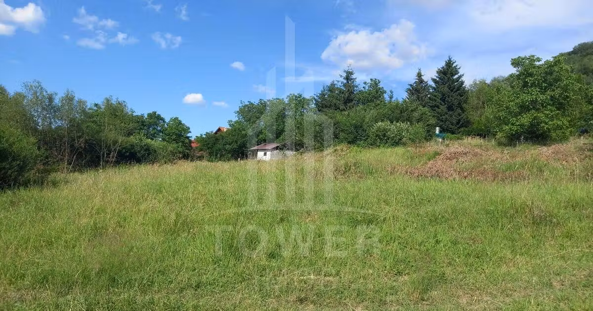 Teren Construcții intravilan de vânzare de 3673 mp, în Fântânele