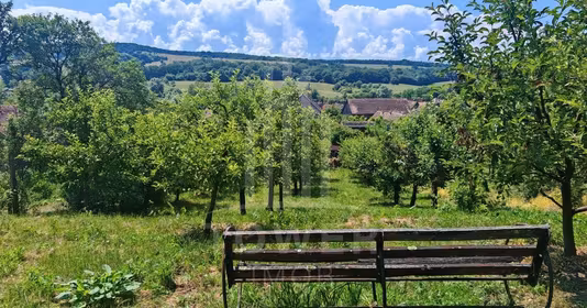 Casă Bruiu