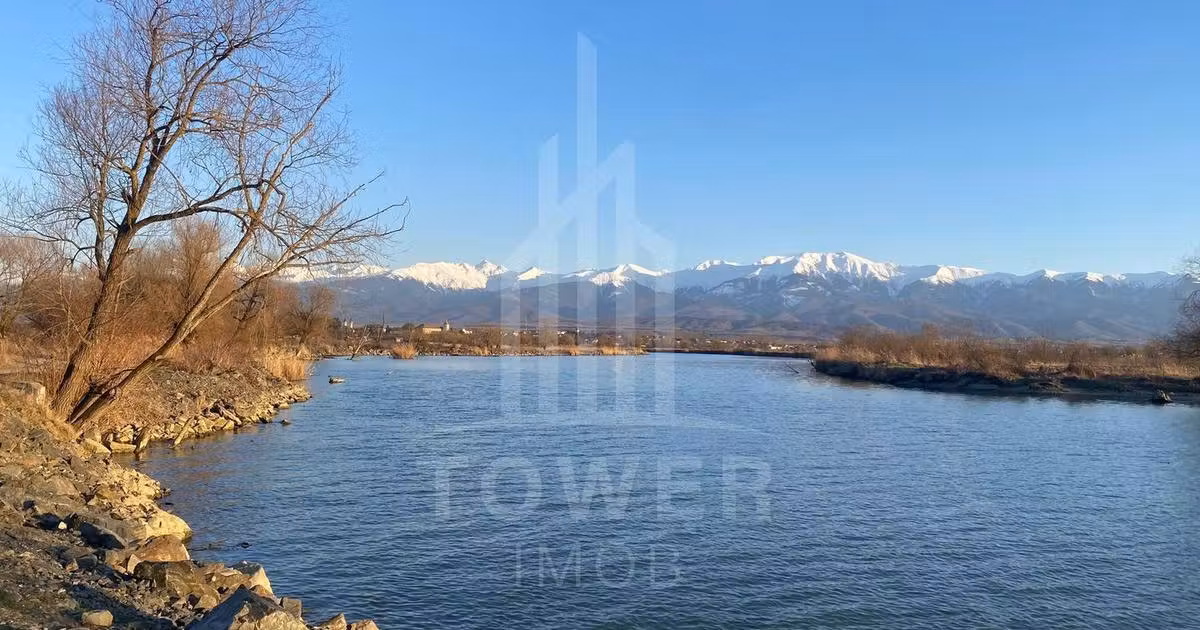 Teren agricol extravilan de vânzare de 7500 mp, în Bradu