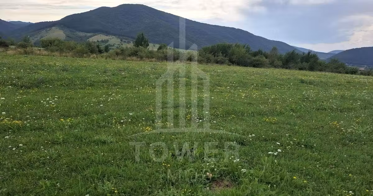 Teren agricol extravilan de vânzare de 1500 mp, în Orlat