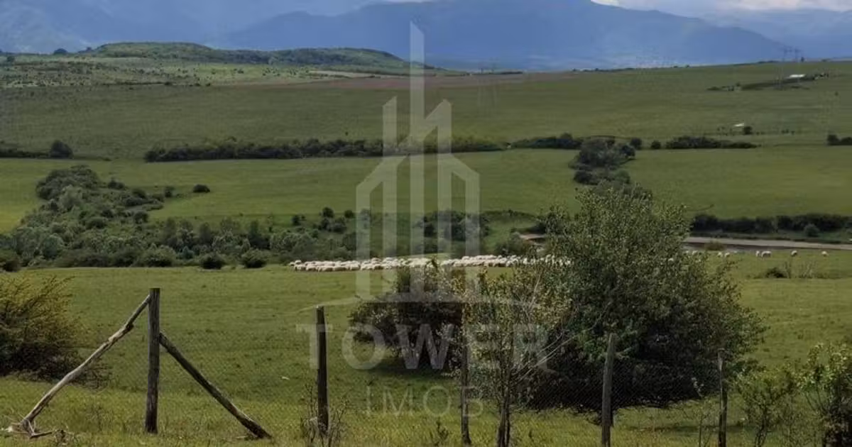 Teren agricol extravilan de vânzare de 11500 mp, în Daia