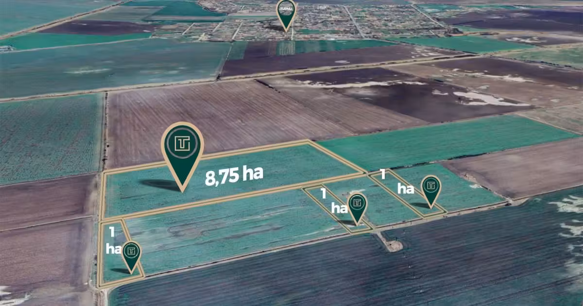 Teren agricol extravilan de vânzare de 117500 mp, în Turnu