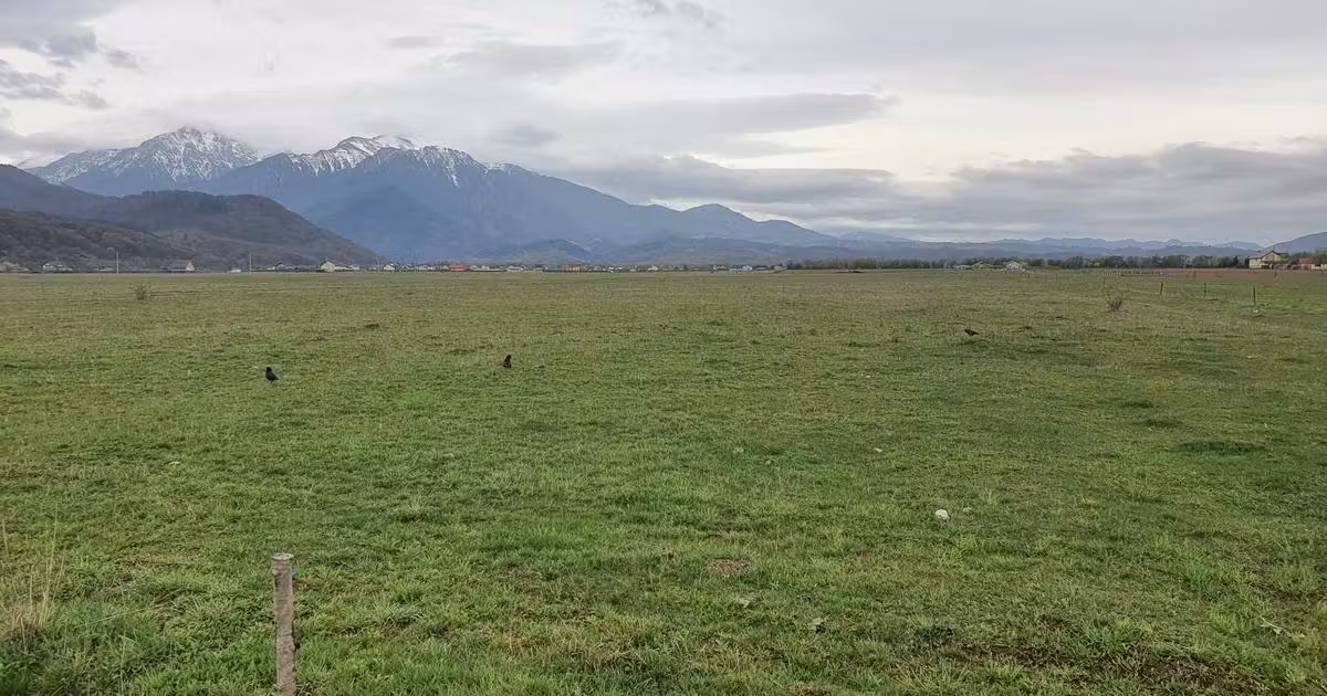 Teren Construcții intravilan de vânzare de 1000 mp, în Râșnov