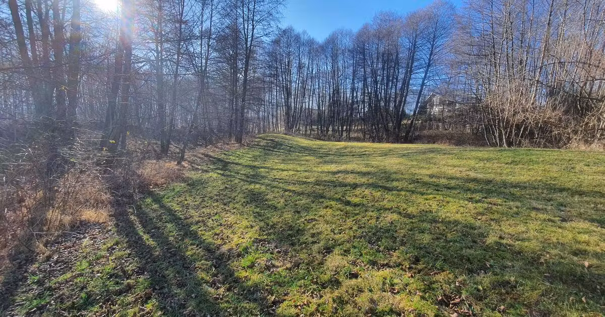 Teren Construcții intravilan de vânzare de 2300 mp, în Bran
