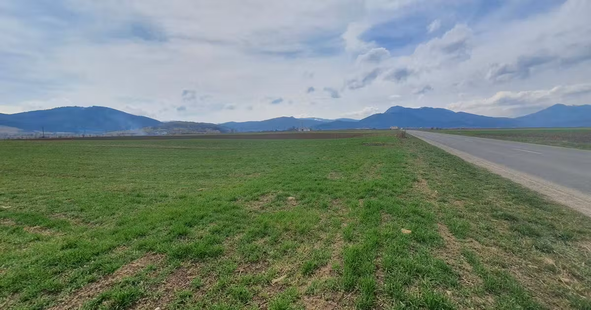 Teren Construcții intravilan de vânzare de 11100 mp, în Tărlungeni