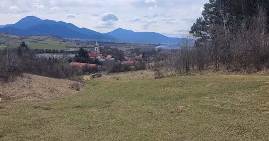 Teren Tărlungeni