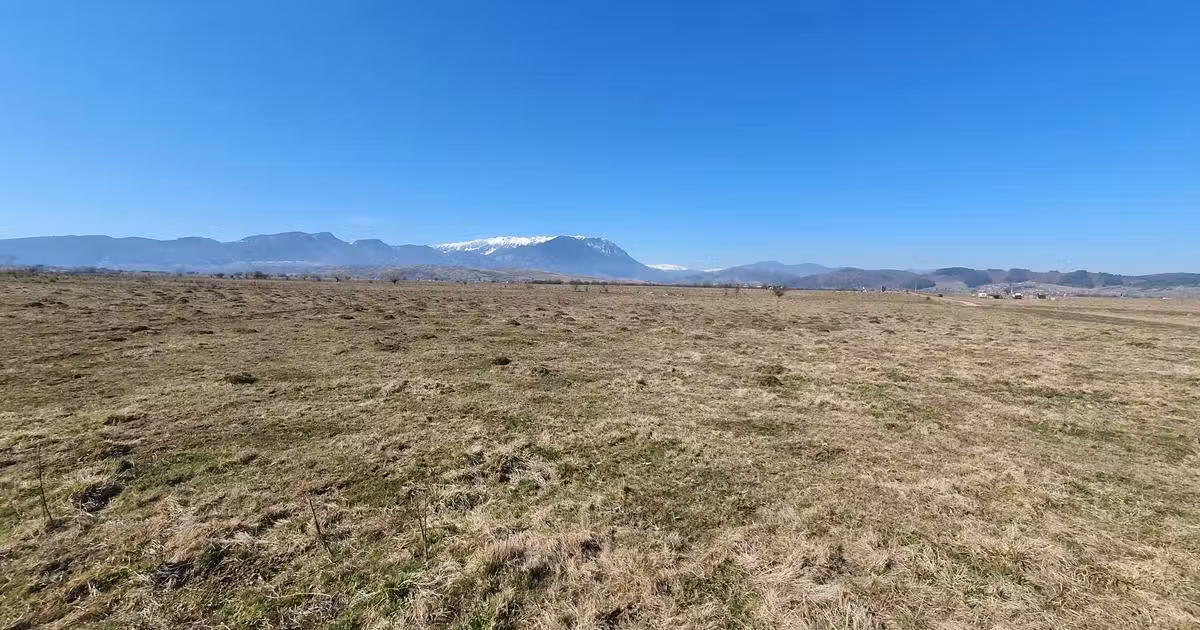 Teren agricol extravilan de vânzare de 3900 mp, în Râșnov