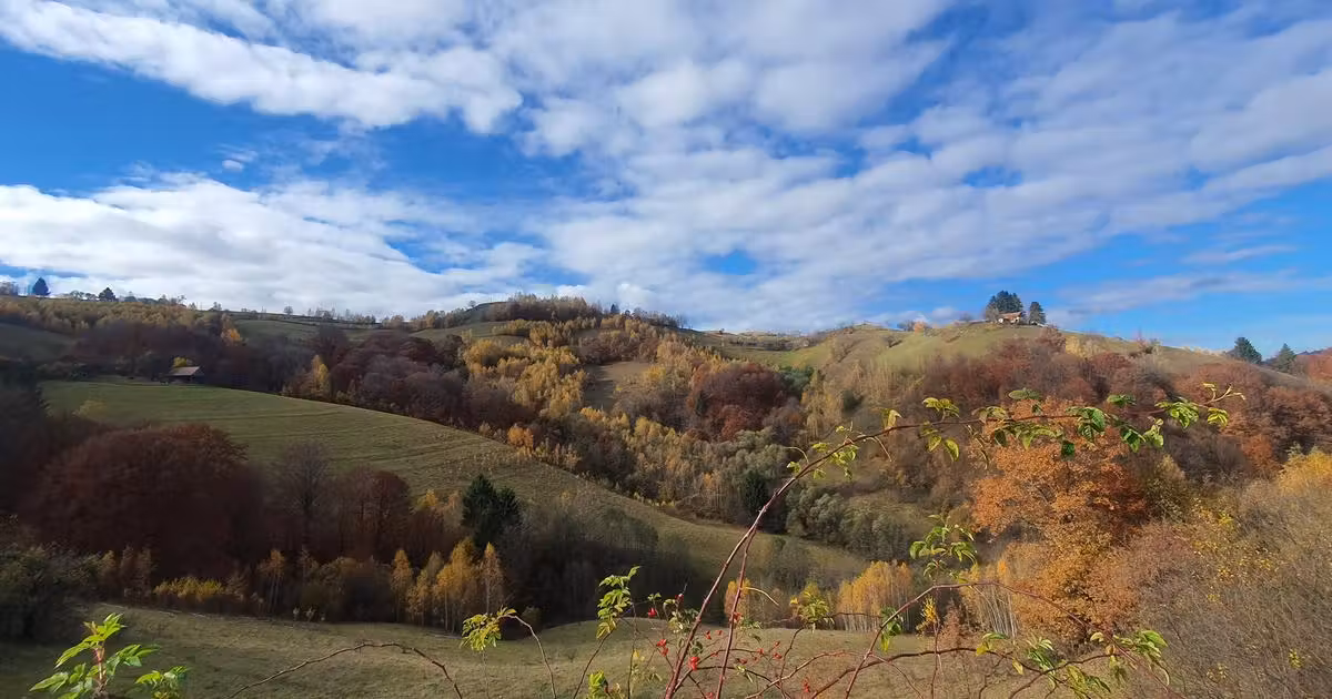 Teren agricol extravilan de vânzare de 11600 mp, în Poiana Mărului