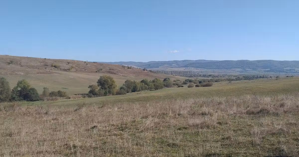Teren agricol extravilan de vânzare de 5000 mp, în Apața
