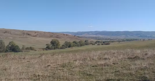 Teren Apața