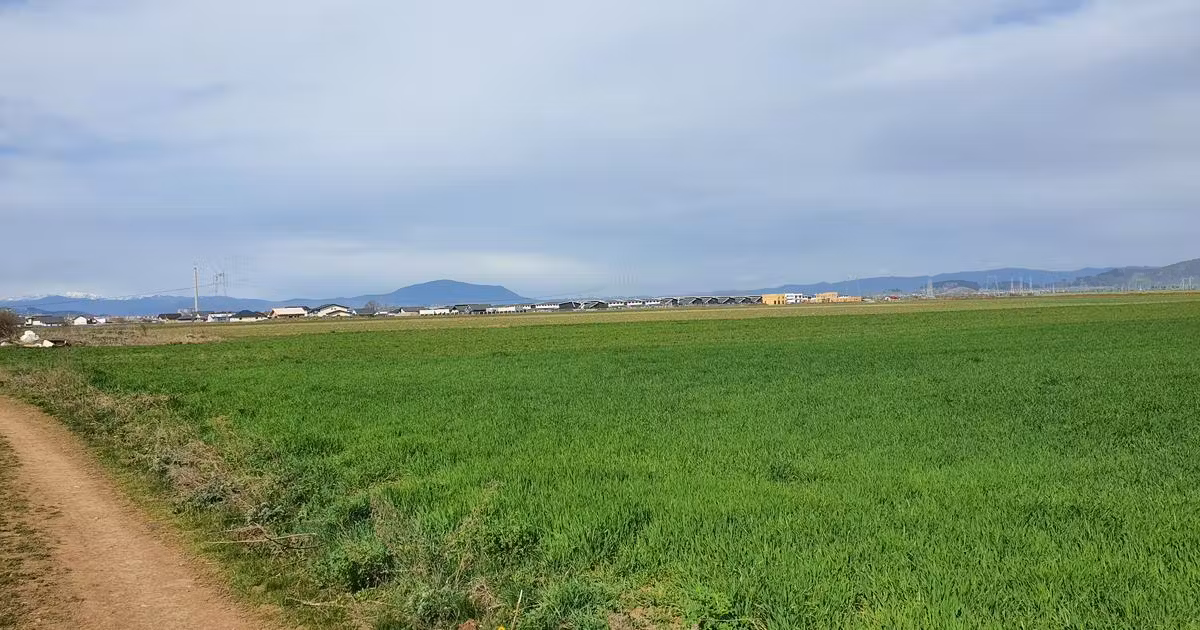Teren agricol extravilan de vânzare de 7400 mp, în Tărlungeni
