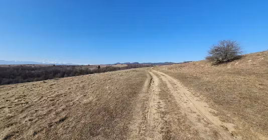 Teren Vlădeni