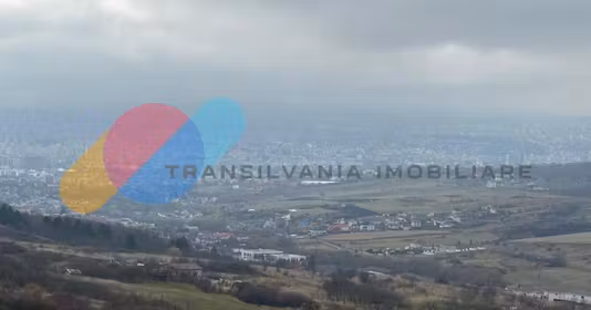 Teren Mărăști