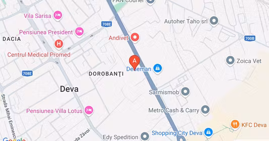 Teren Dorobanți