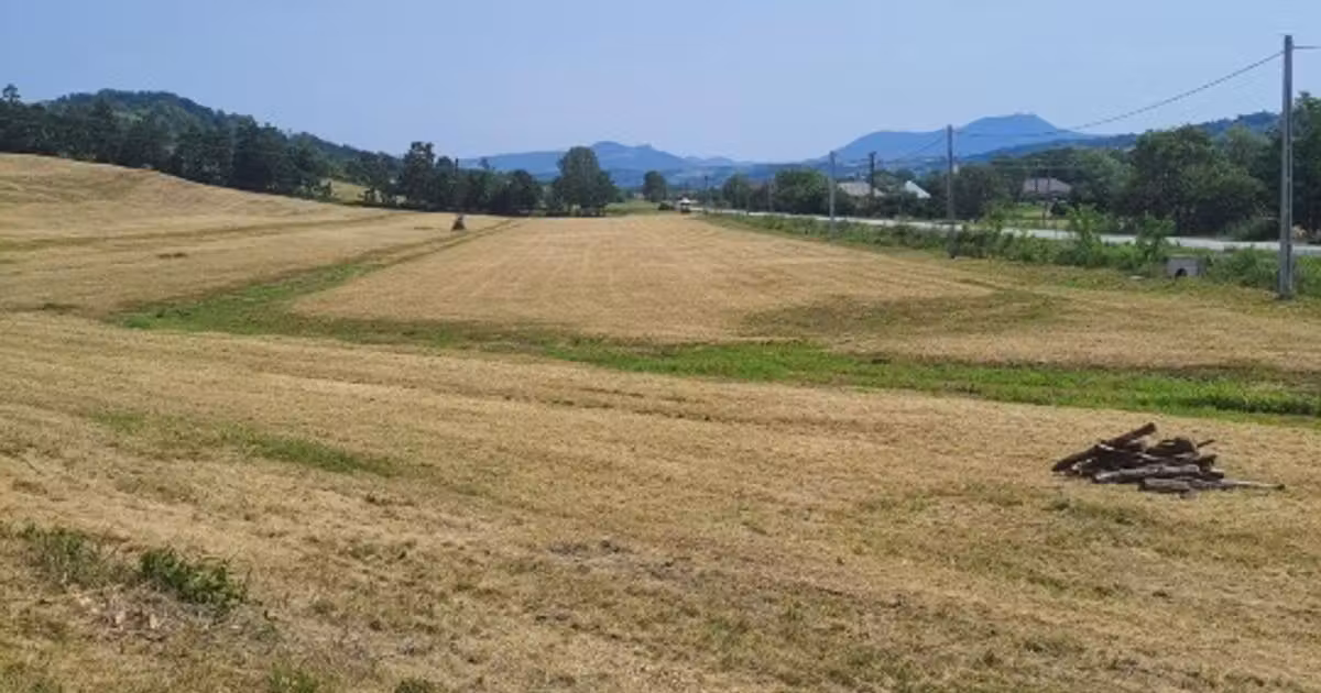 Teren agricol intravilan de vânzare de 60000 mp, în Copalnic-Mănăștur