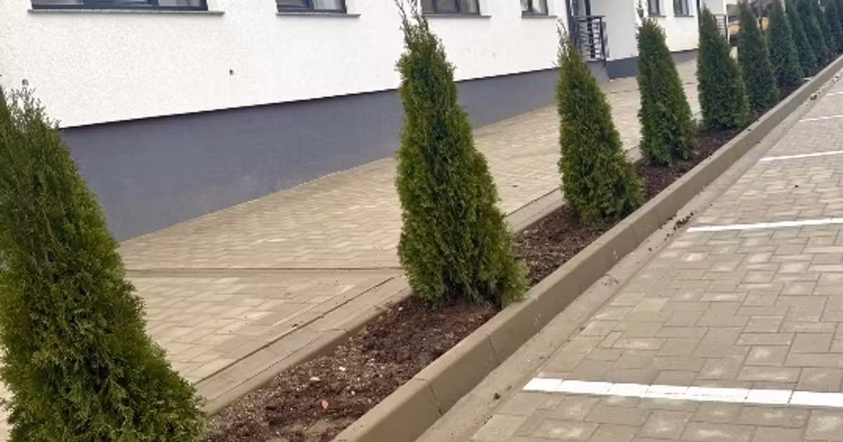 Apartament de vânzare cu 2 camere în Ipotești