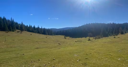 Teren Poiana Horea