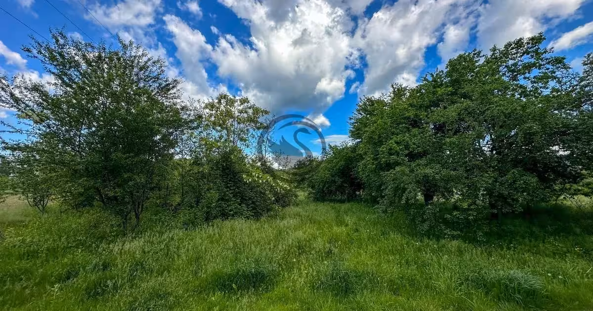 Teren agricol intravilan de vânzare de 3600 mp, în Gura Vitioarei