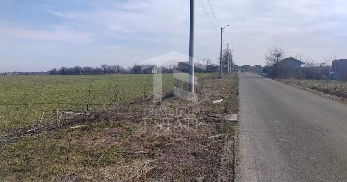 Teren Construcții intravilan de vânzare de 8650 mp, în Cernica