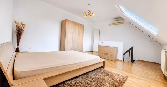 Apartament Vasile Aaron