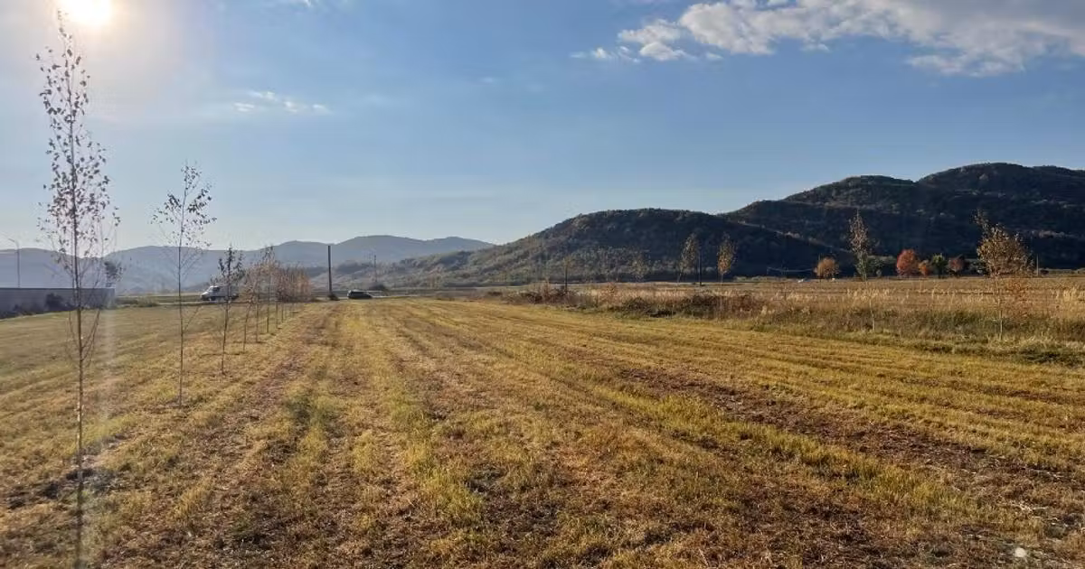 Teren Construcții intravilan de vânzare de 2992 mp, în Măgureni