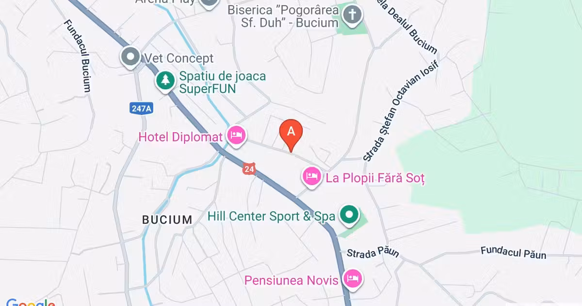 Casă individuală de vânzare cu 5 camere în zona Bucium, Iași