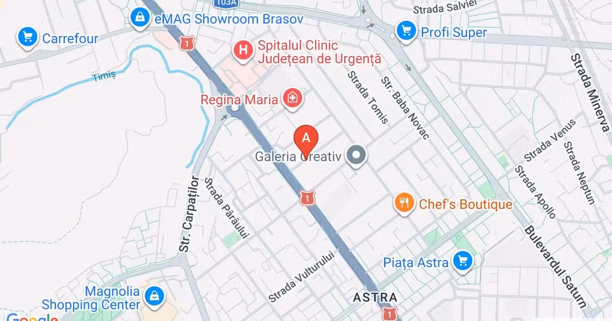 Duplex de vânzare cu 4 camere, mobilat în Sânpetru