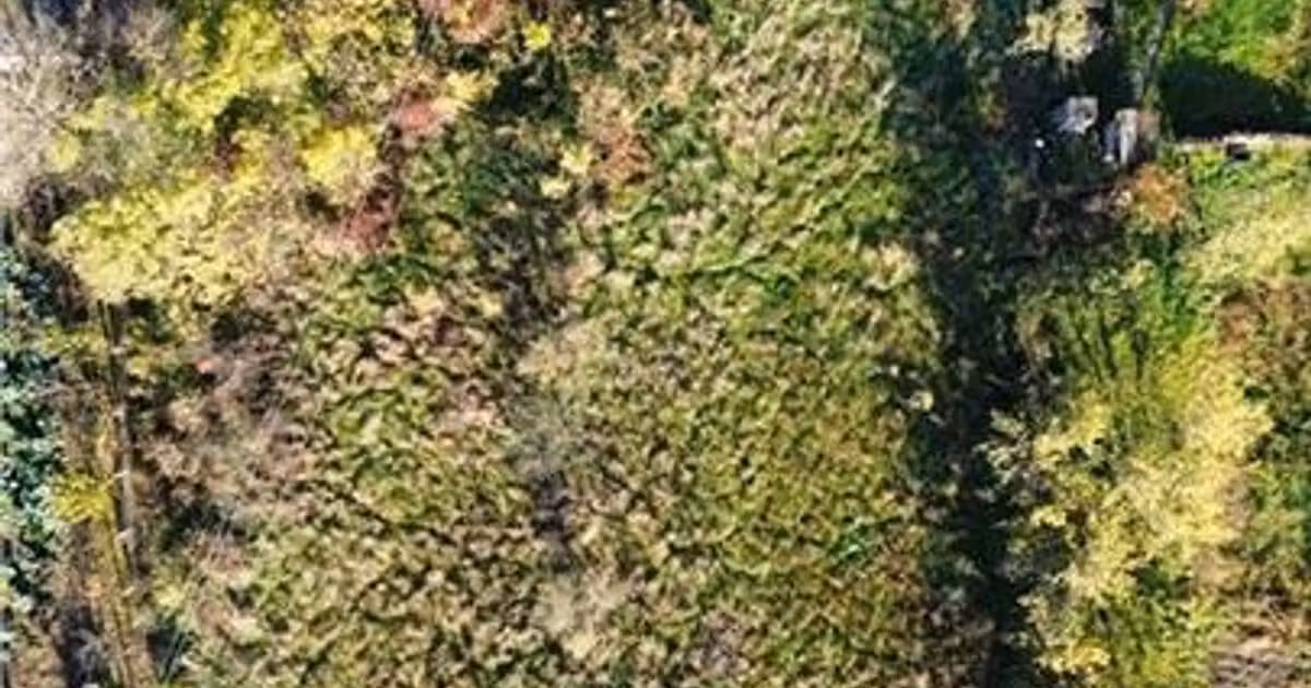 Teren intravilan de vânzare de 2500 mp, în Reteag
