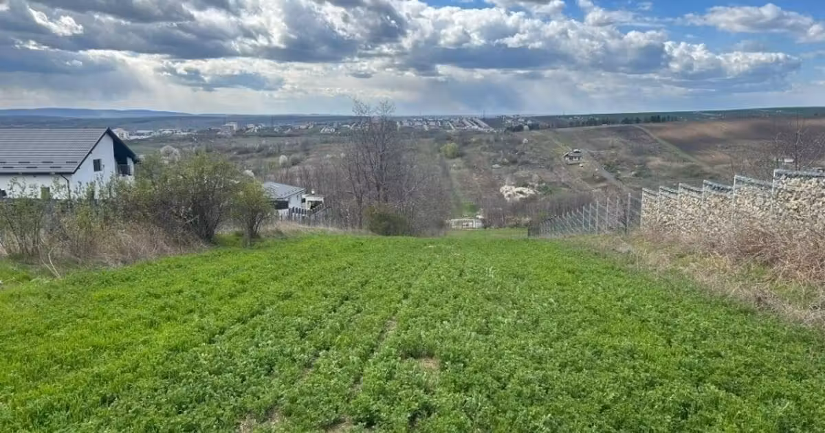 Teren agricol intravilan de vânzare de 3271 mp, în Valea Lupului