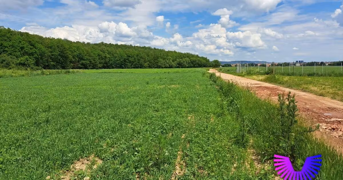 Teren agricol extravilan de vânzare de 500 mp, în zona Turnișor, Sibiu