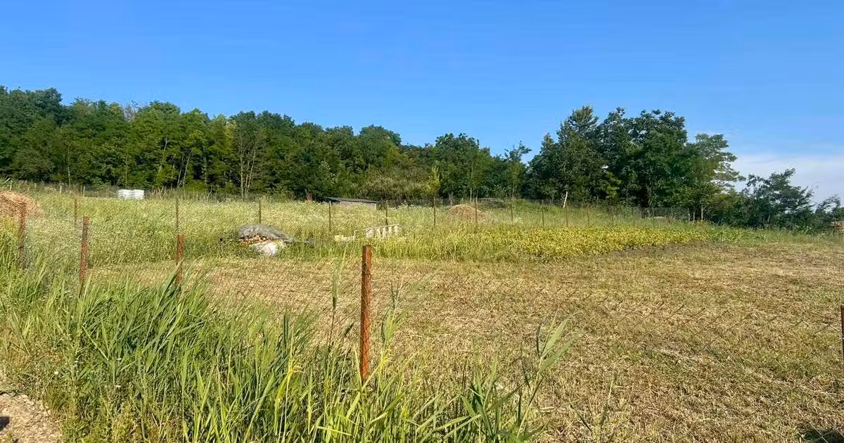 Teren intravilan de vânzare de 1529 mp, în Valea Lupului