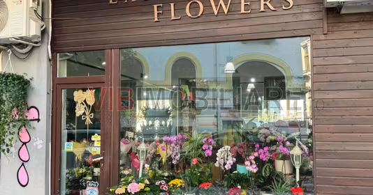 Spațiu comercial Dorobanți