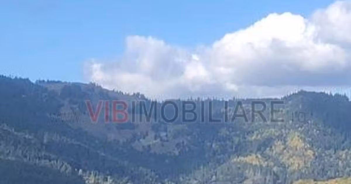 Teren intravilan de vânzare de 1000 mp, în Ceahlău