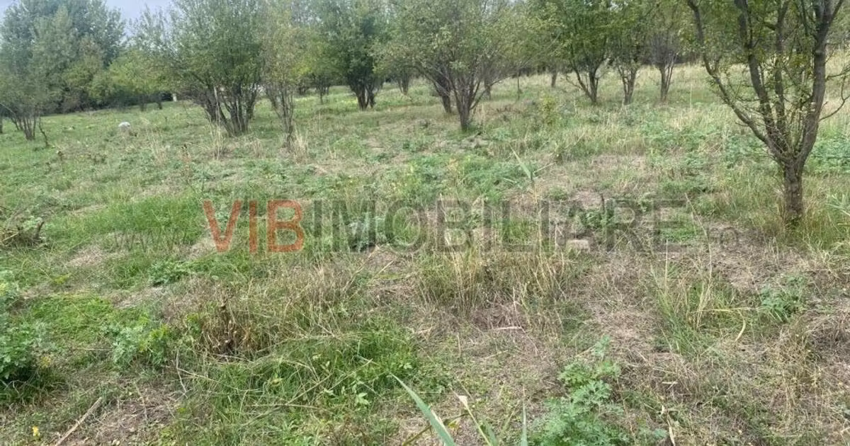 Teren · 10000 m², Mărtinești, Orăștie
