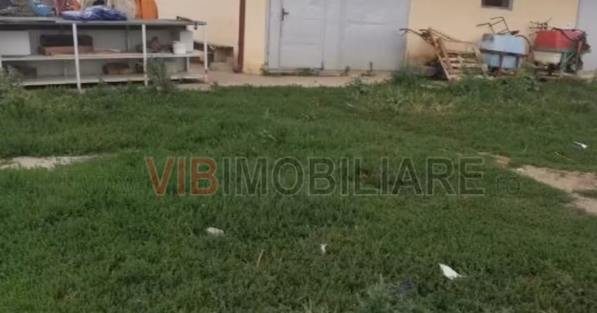 Teren de vânzare de 95000 mp, în Satchinez