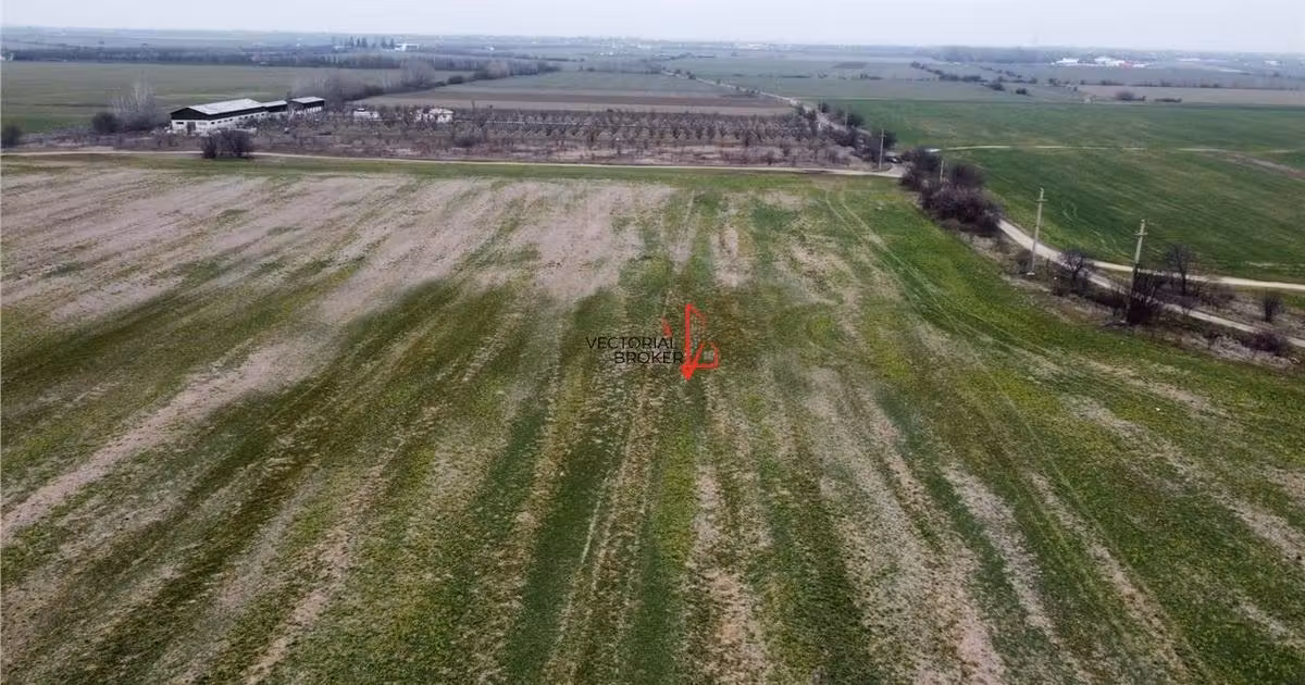Teren agricol extravilan de vânzare de 5800 mp, în Cornetu