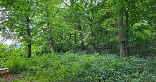 Teren Snagov