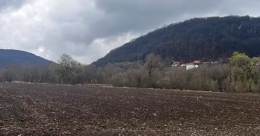 Teren Albești