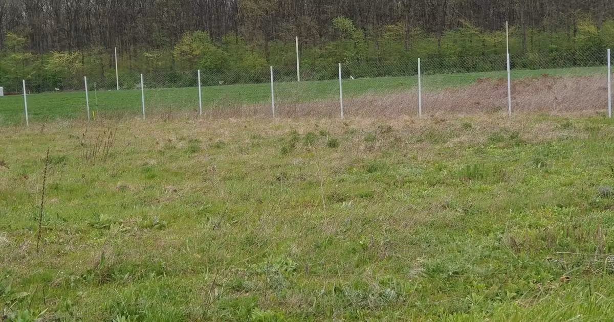 Teren Construcții intravilan de vânzare de 1500 mp, în Snagov