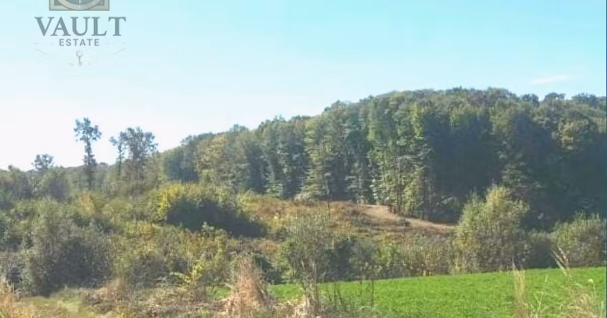 Teren Construcții intravilan de vânzare de 900 mp, în Snagov